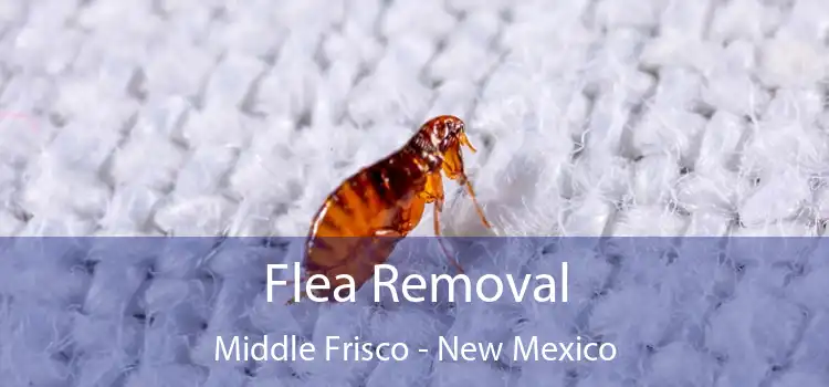 Flea Removal Middle Frisco - New Mexico