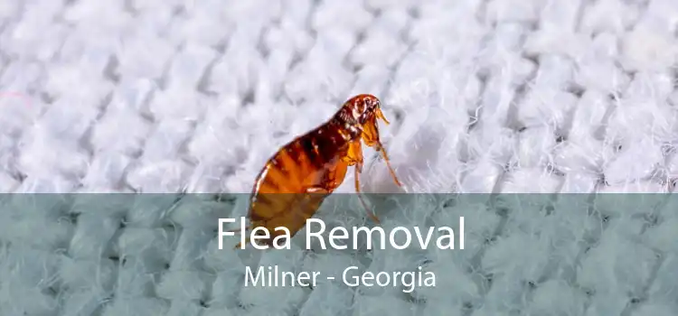 Flea Removal Milner - Georgia