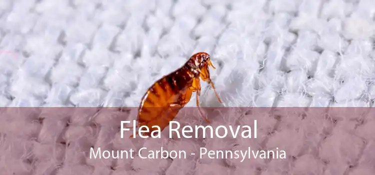 Flea Removal Mount Carbon - Pennsylvania