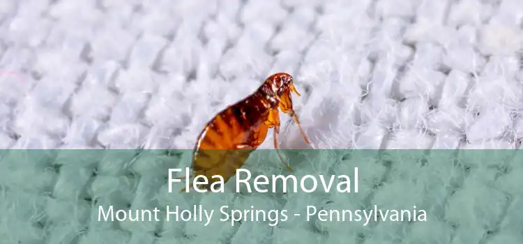 Flea Removal Mount Holly Springs - Pennsylvania