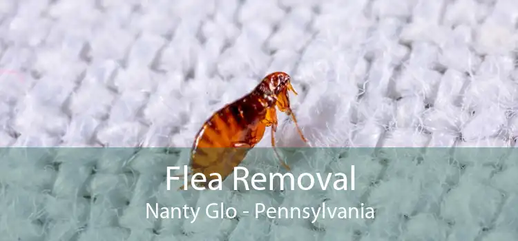 Flea Removal Nanty Glo - Pennsylvania