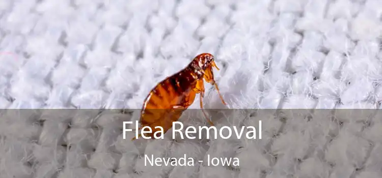 Flea Removal Nevada - Iowa