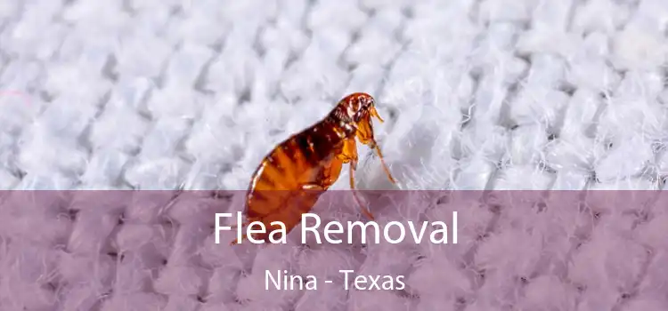 Flea Removal Nina - Texas