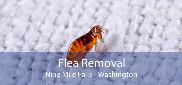 Flea Removal Nine Mile Falls - Washington