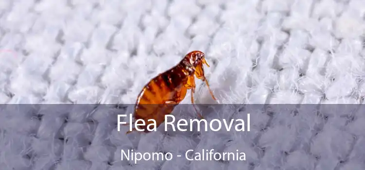 Flea Removal Nipomo - California