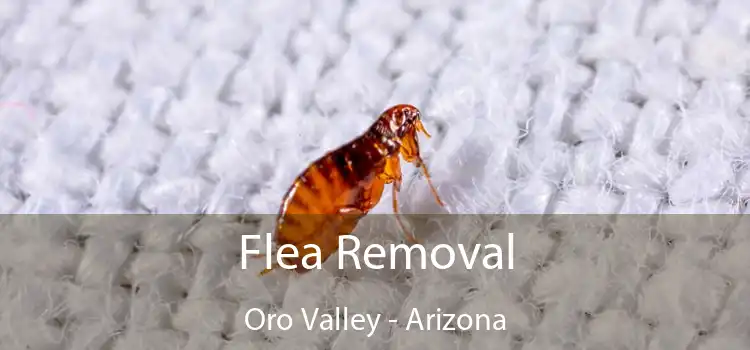 Flea Removal Oro Valley - Arizona