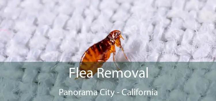 Flea Removal Panorama City - California
