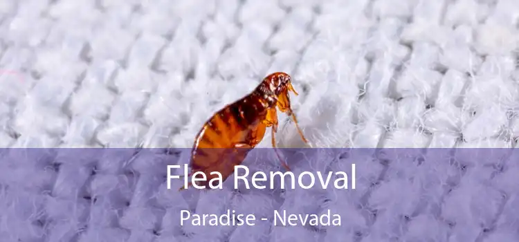 Flea Removal Paradise - Nevada