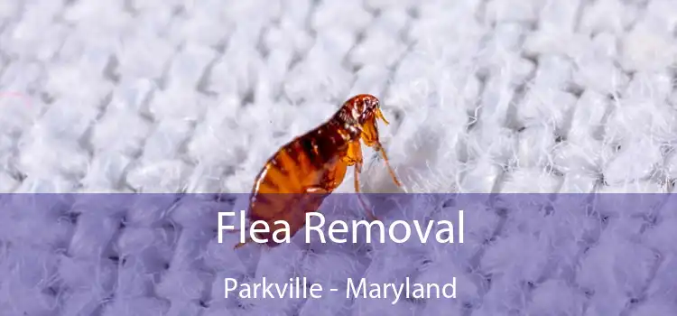 Flea Removal Parkville - Maryland