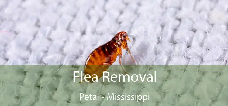 Flea Removal Petal - Mississippi