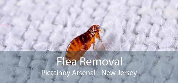 Flea Removal Picatinny Arsenal - New Jersey
