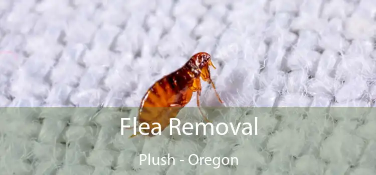 Flea Removal Plush - Oregon