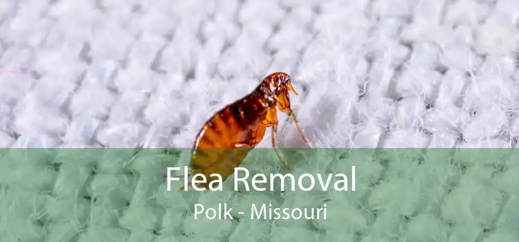 Flea Removal Polk - Missouri