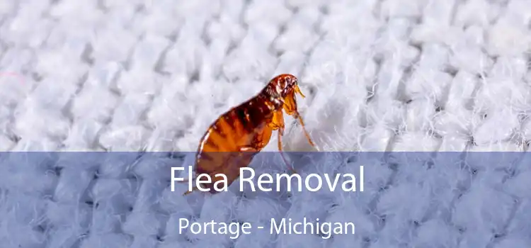 Flea Removal Portage - Michigan