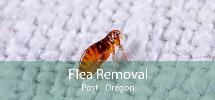 Flea Removal Post - Oregon