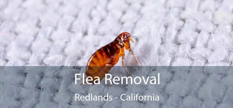 Flea Removal Redlands - California