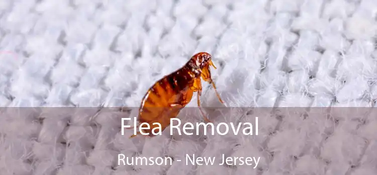 Flea Removal Rumson - New Jersey