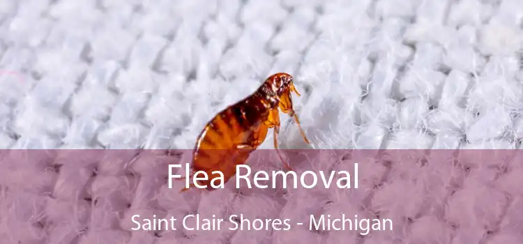Flea Removal Saint Clair Shores - Michigan