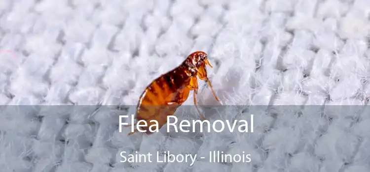 Flea Removal Saint Libory - Illinois