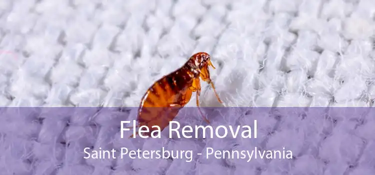 Flea Removal Saint Petersburg - Pennsylvania