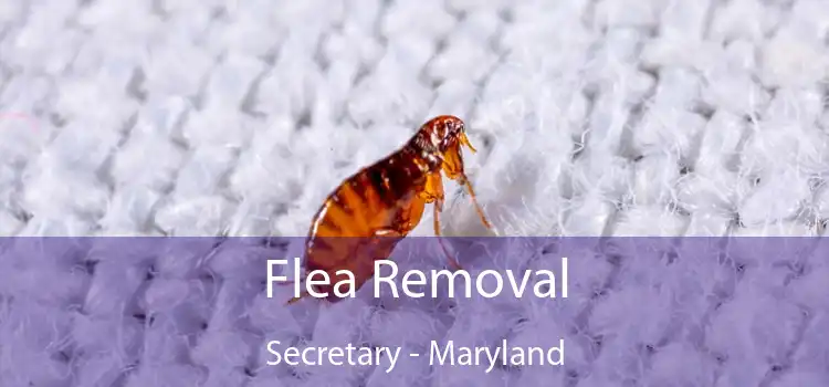 Flea Removal Secretary - Maryland