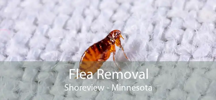 Flea Removal Shoreview - Minnesota