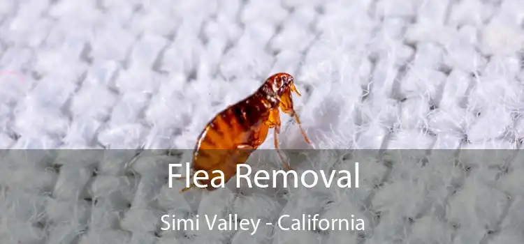 Flea Removal Simi Valley - California