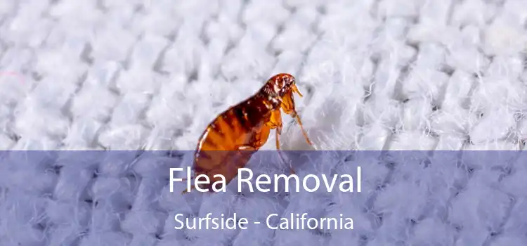 Flea Removal Surfside - California
