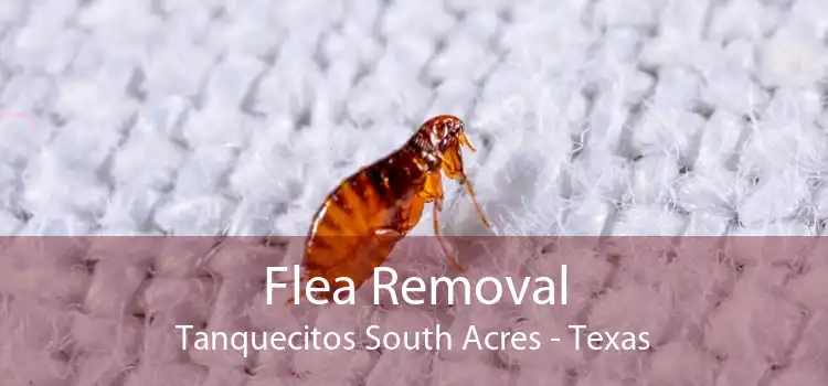 Flea Removal Tanquecitos South Acres - Texas