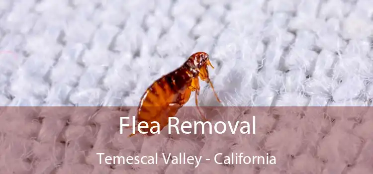 Flea Removal Temescal Valley - California