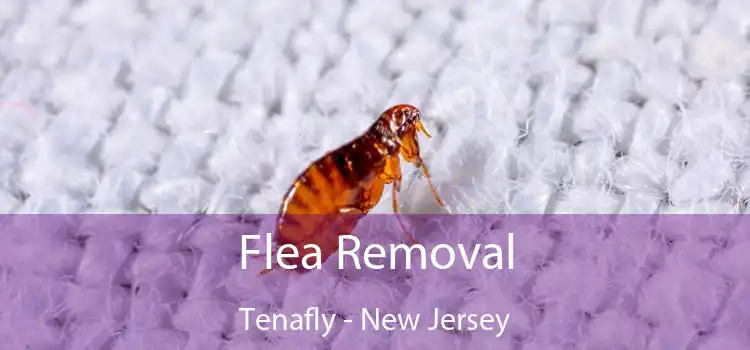 Flea Removal Tenafly - New Jersey