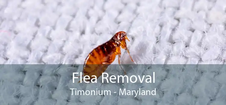 Flea Removal Timonium - Maryland