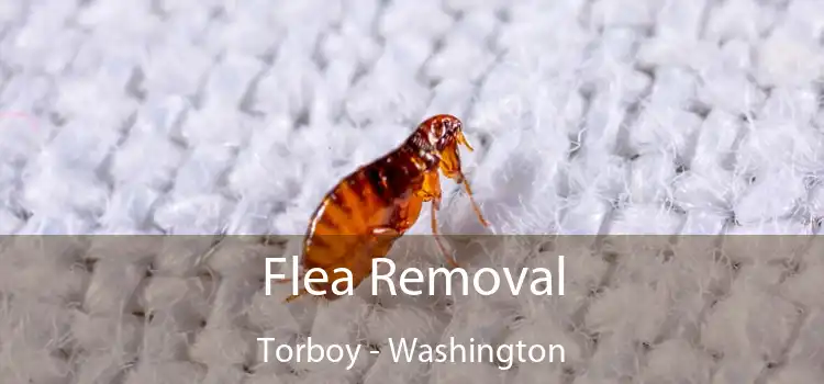 Flea Removal Torboy - Washington