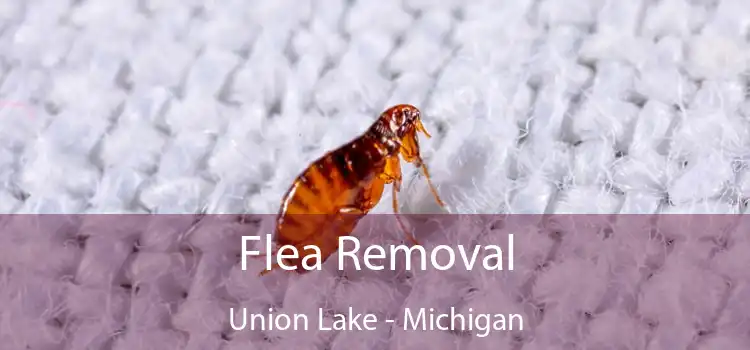 Flea Removal Union Lake - Michigan