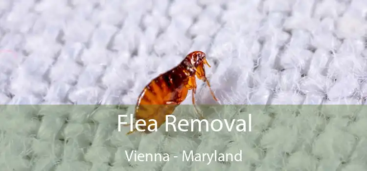 Flea Removal Vienna - Maryland