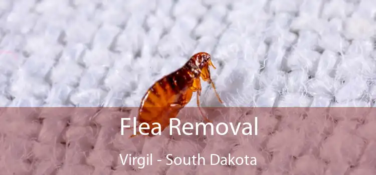 Flea Removal Virgil - South Dakota