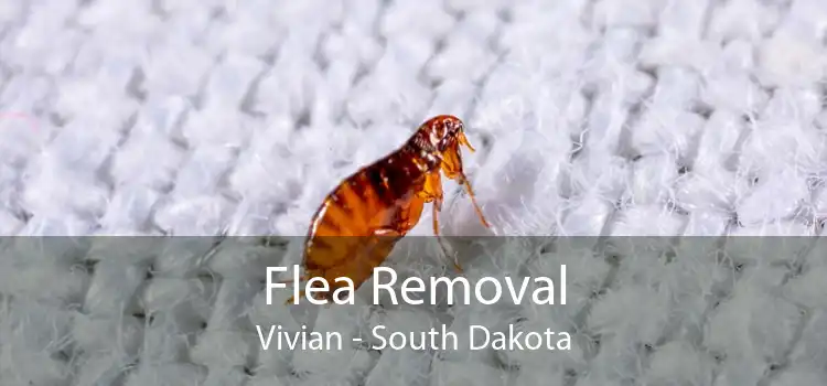 Flea Removal Vivian - South Dakota