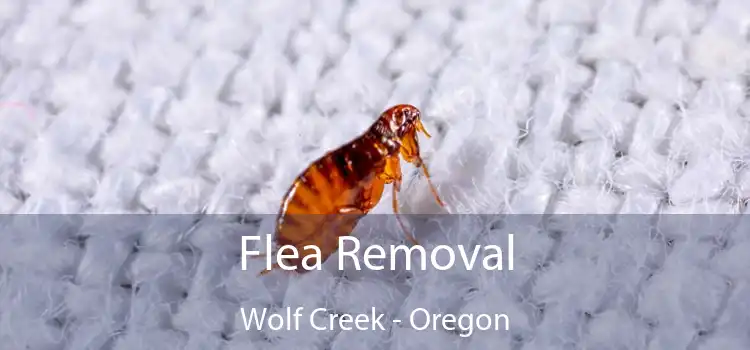 Flea Removal Wolf Creek - Oregon