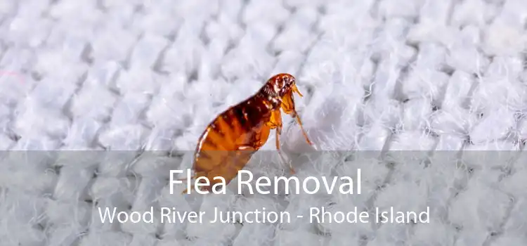 Flea Removal Wood River Junction - Rhode Island