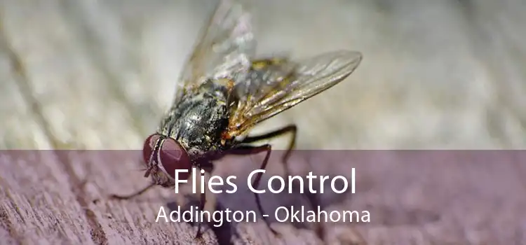 Flies Control Addington - Oklahoma