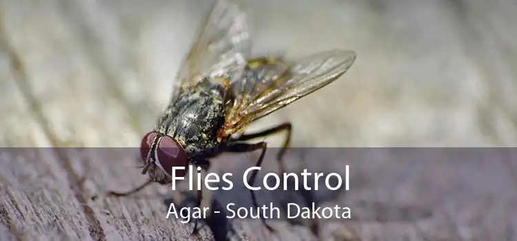 Flies Control Agar - South Dakota