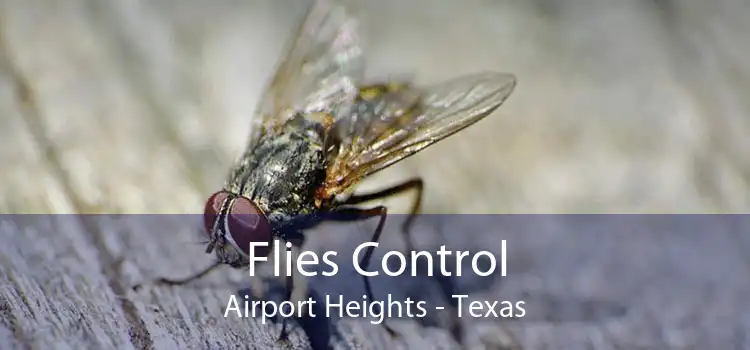 Flies Control Airport Heights - Texas