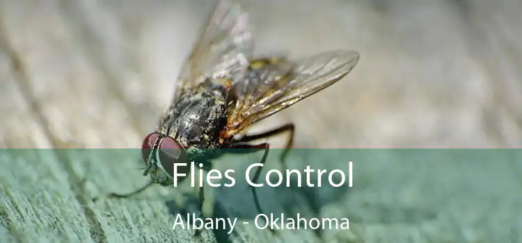 Flies Control Albany - Oklahoma