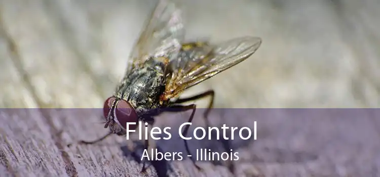 Flies Control Albers - Illinois