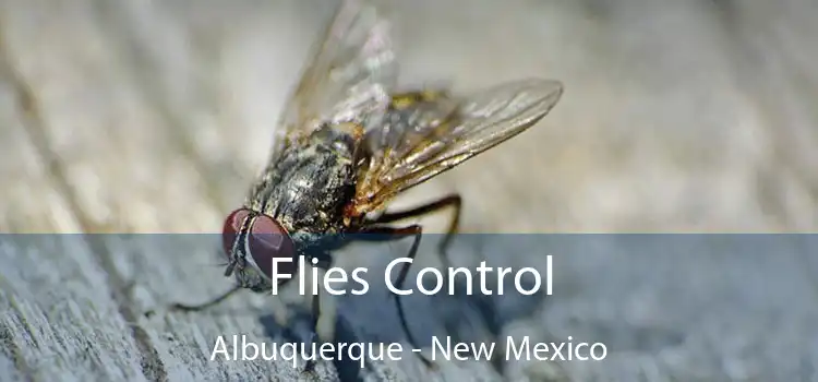 Flies Control Albuquerque - New Mexico