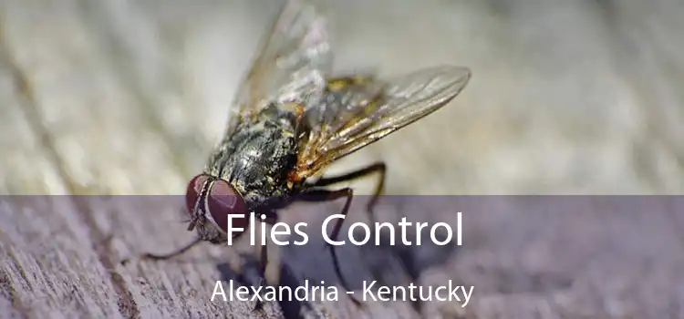 Flies Control Alexandria - Kentucky