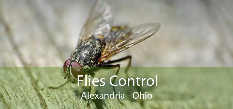 Flies Control Alexandria - Ohio