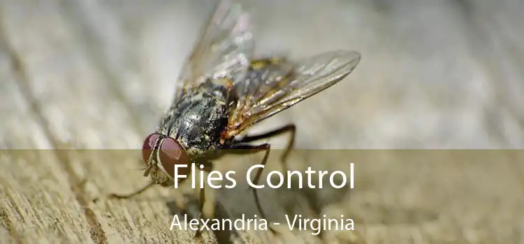 Flies Control Alexandria - Virginia