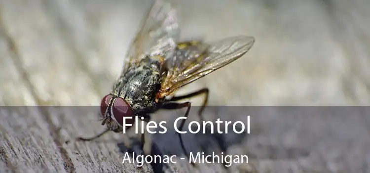 Flies Control Algonac - Michigan