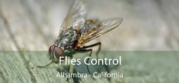 Flies Control Alhambra - California